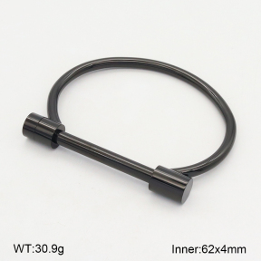 2BA202007vbpb-749  Stainless Steel Bangle