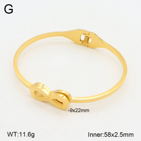2BA202010vbnb-749  Stainless Steel Bangle