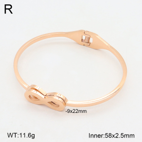 2BA202011vbnb-749  Stainless Steel Bangle