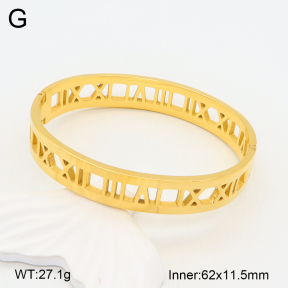 2BA202013bhva-749  Stainless Steel Bangle