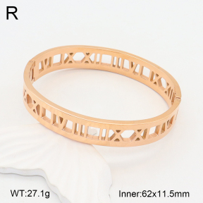2BA202014bhva-749  Stainless Steel Bangle