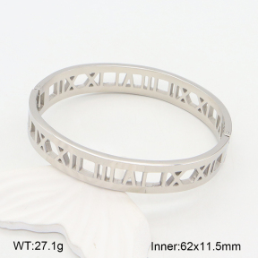 2BA202015vbpb-749  Stainless Steel Bangle