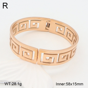 2BA202016vbpb-749  Stainless Steel Bangle