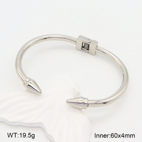 2BA202018bbov-749  Stainless Steel Bangle