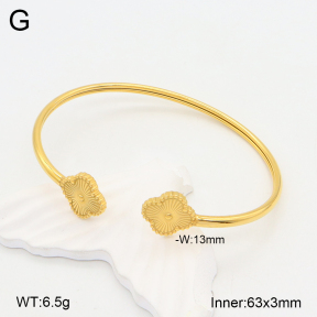 2BA202020vbnb-749  Stainless Steel Bangle