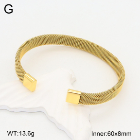 2BA202021vbnb-749  Stainless Steel Bangle