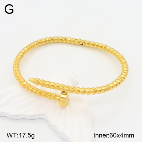2BA202023bhia-617  Stainless Steel Bangle