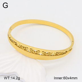 2BA202026ahjb-617  Stainless Steel Bangle