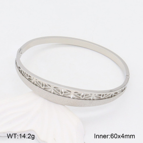 2BA202028bhia-617  Stainless Steel Bangle