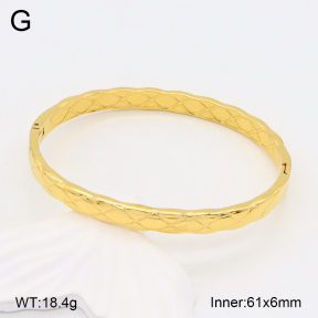 2BA202029ahjb-617  Stainless Steel Bangle