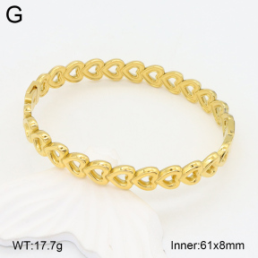 2BA202032ahjb-617  Stainless Steel Bangle