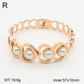 2BA300477bhva-749  Stainless Steel Bangle