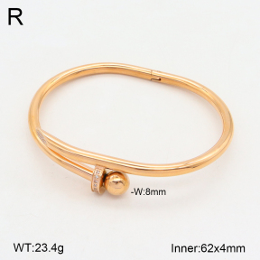 2BA402235vbpb-749  Stainless Steel Bangle