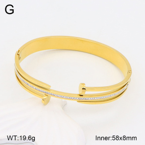 2BA402243vhmv-617  Stainless Steel Bangle