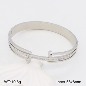2BA402244ahlv-617  Stainless Steel Bangle