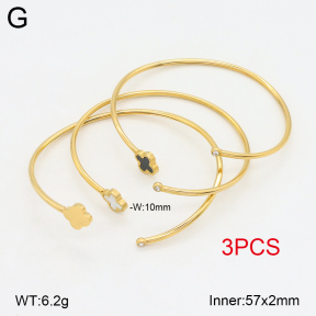 2BA402250ahjb-617  Stainless Steel Bangle