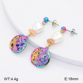 2E3003448aaio-698  Stainless Steel Earrings