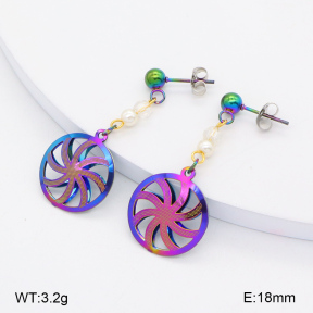 2E3003449aaio-698  Stainless Steel Earrings