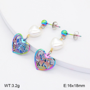 2E3003450aaio-698  Stainless Steel Earrings