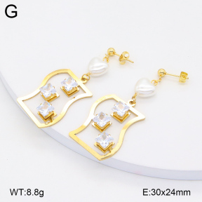 2E3003451aakl-698  Stainless Steel Earrings