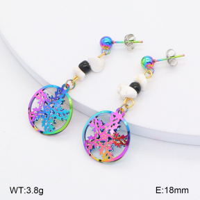 2E4004310aaio-698  Stainless Steel Earrings