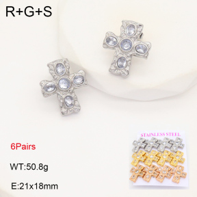 2E4004348ajia-436  Stainless Steel Earrings