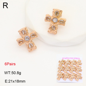 2E4004350ajka-436  Stainless Steel Earrings