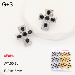 2E4004353ajal-436  Stainless Steel Earrings