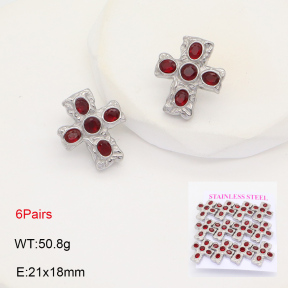 2E4004357bipa-436  Stainless Steel Earrings