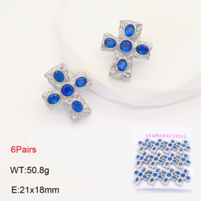 2E4004361bipa-436  Stainless Steel Earrings