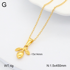 2N2005885bbom-769  Stainless Steel Necklace