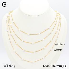 2N3002561vhkb-749  Stainless Steel Necklace