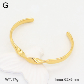2BA202037vbnl-328  Stainless Steel Bangle