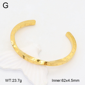 2BA202039vbpb-328  Stainless Steel Bangle
