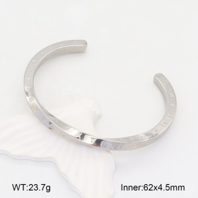 2BA202040vbnl-328  Stainless Steel Bangle