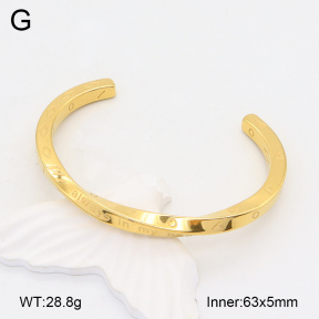 2BA202041vbpb-328  Stainless Steel Bangle