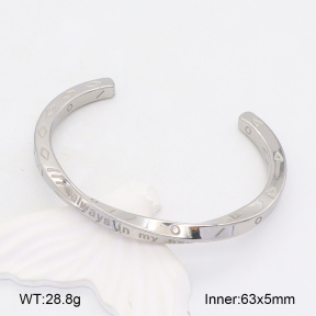 2BA202042vbnl-328  Stainless Steel Bangle
