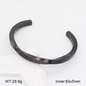 2BA202043vbpb-328  Stainless Steel Bangle