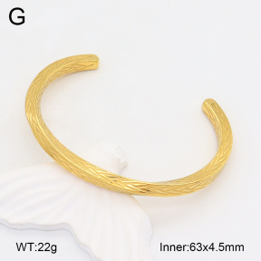 2BA202044bvpl-328  Stainless Steel Bangle