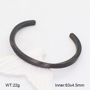 2BA202046bvpl-328  Stainless Steel Bangle