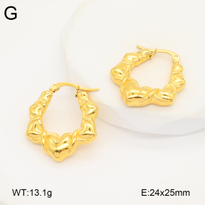 2E2005818bbov-686  Stainless Steel Earrings