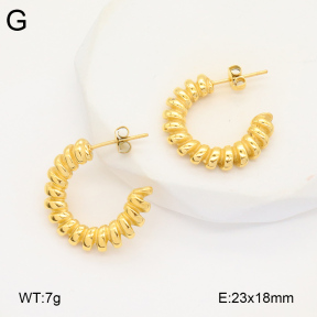 2E2005819bbov-686  Stainless Steel Earrings