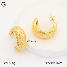 2E2005820bbov-686  Stainless Steel Earrings