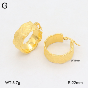 2E2005821vbnb-686  Stainless Steel Earrings