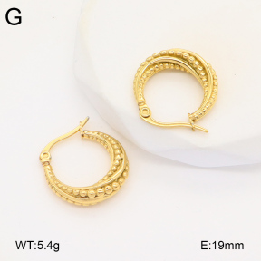 2E2005822vbnb-686  Stainless Steel Earrings