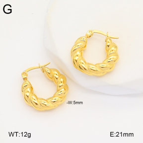 2E2005823bbov-686  Stainless Steel Earrings