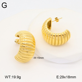 2E2005825vbnb-686  Stainless Steel Earrings