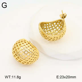 2E2005826bbov-686  Stainless Steel Earrings