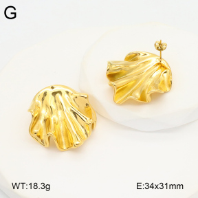 2E2005827vbpb-686  Stainless Steel Earrings