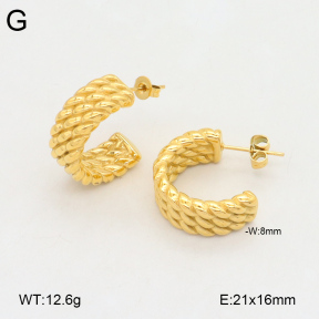 2E2005828bbov-686  Stainless Steel Earrings